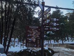 -香山公园