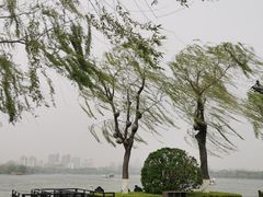 -济南大明湖景区