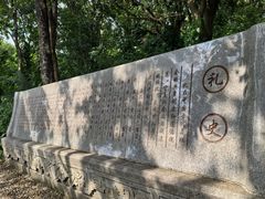 -水濂山森林公园