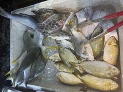 -牛排王糟粕醋火锅(海甸分店)