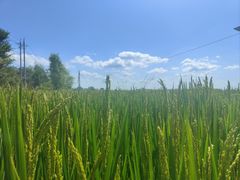 -稻梦空间冰雪小镇