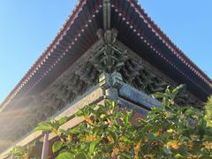 -北京市劳动人民文化宫(太庙)
