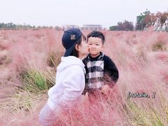 -映月湖中央公园