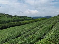 -东白山