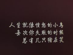 -成都失恋馆