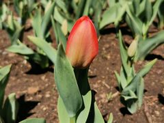 -长春公园(普阳街道)