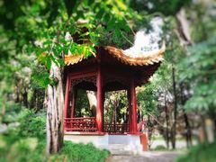 -嘉定紫藤园