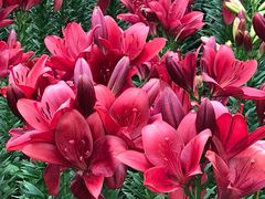 -长春公园(普阳街道)