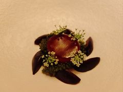 扇贝&nbsp;-&nbsp;车厘子&nbsp;-&nbsp;刺山柑-The Georg(东华门店)