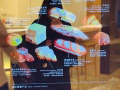 -OUR Bakery(SKP-S店)