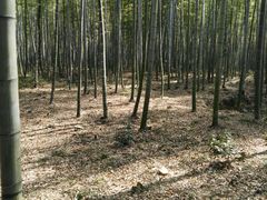 -陶祖圣境风景区