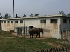 -西安秦岭野生动物园