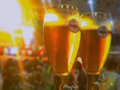 -第35届青岛国际啤酒节