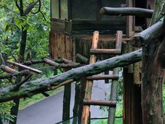 -云南野生动物园