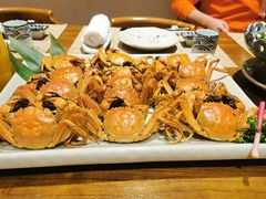 -蟹将军·松叶蟹和牛日料放题自助(K11店)