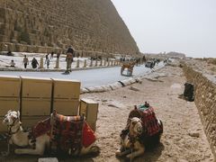 景点-吉萨金字塔群