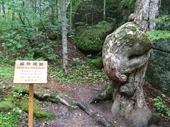 -汤旺河林海奇石景区