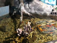 -苏州海洋馆