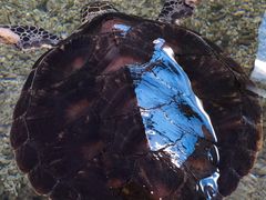 -鸿通城购物中心