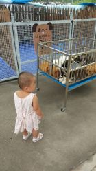 -萌宠亲子动物乐园(槐房万达店)