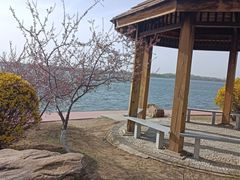 -丁香湖公园
