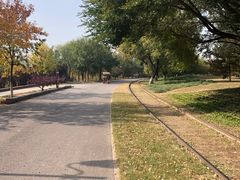 -永定河休闲森林公园