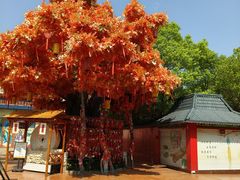 -芜湖方特东方神画