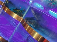-蛙一刀·麻椒鱼火锅(金仙桥店)
