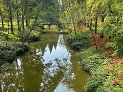 -黄海国家森林公园