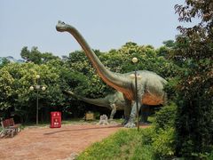 -郑州方特梦幻王国