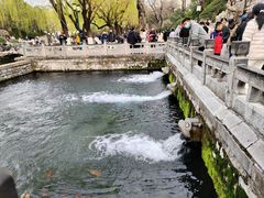 -环城公园