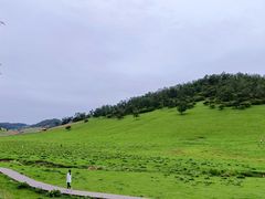 -关山草原
