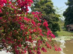 -中国科学院西双版纳热带植物园
