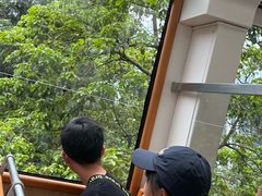 -山顶缆车