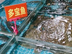 -西北农副产品中心批发市场(广安路店)