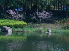 -美兰湖景区