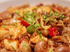 -老板恋上鱼(印象城店)