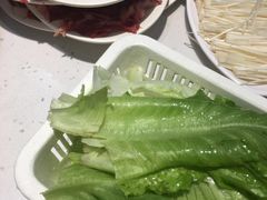 -黑山牛肉汤火锅(花城汇店)