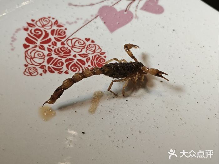 南蛮子(进贤路店)图片