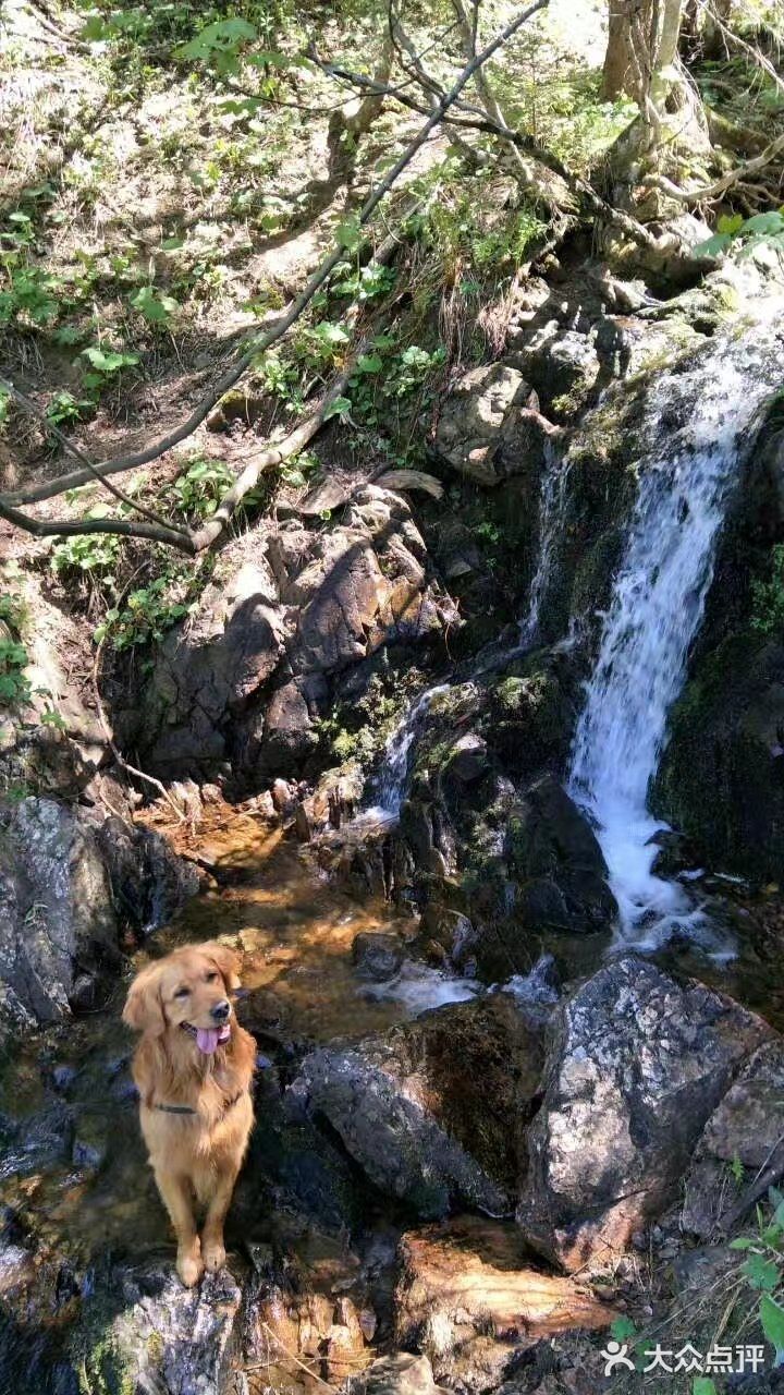 高山、草地、丛林、溪流、湖泊，一次性饱览个够