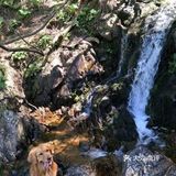 高山、草地、丛林、溪流、湖泊，一次性饱览个够