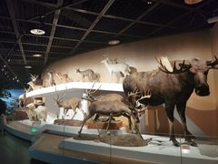 -陕西自然博物馆