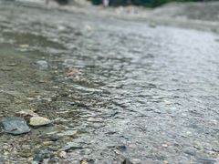 -虹口漂流