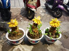 -西环肥仔螺蛳粉(总店)