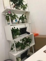 -韩莱科技美肤连锁