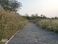 -恋山坝上草原
