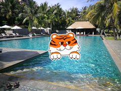 -海南清水湾莱佛士酒店