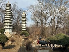 -沈阳植物园