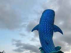 -童趣廊·儿童波波池·海洋球(长隆横琴湾酒店)