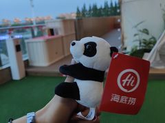 -海底捞火锅(丰尚国际广场店)